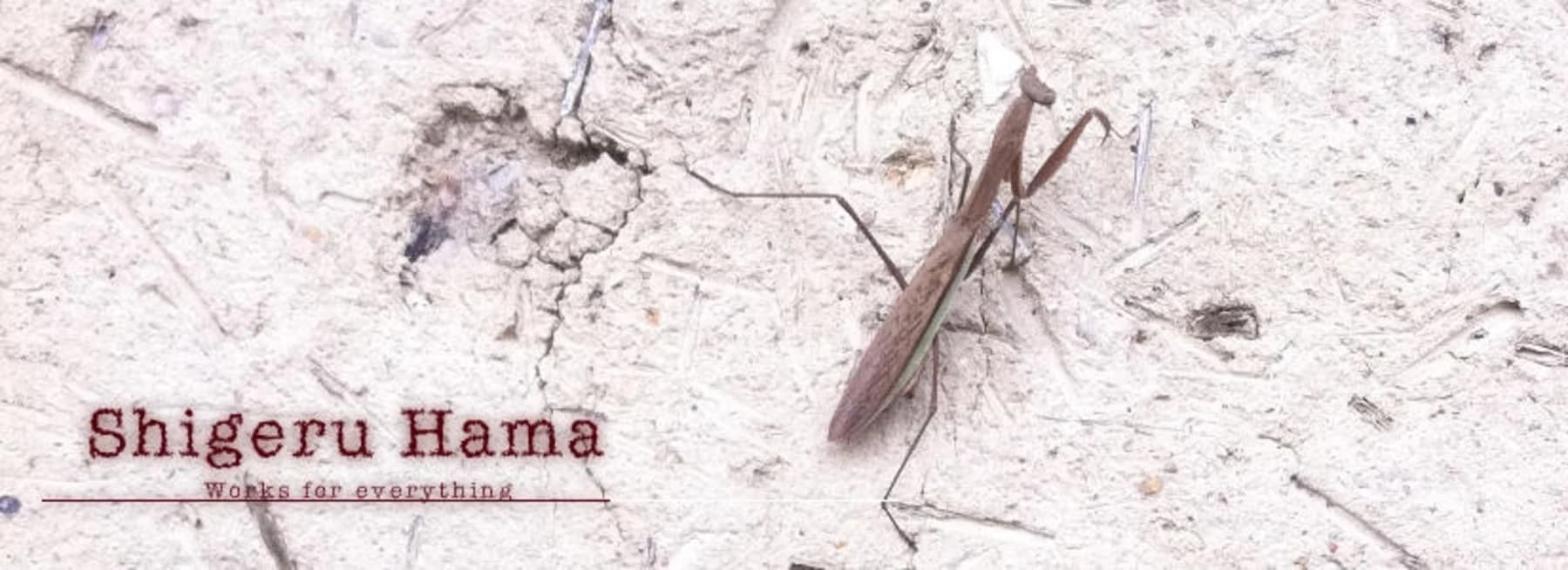 カマキリが写った Shigeru Hama 旧サイトのキービジュアル